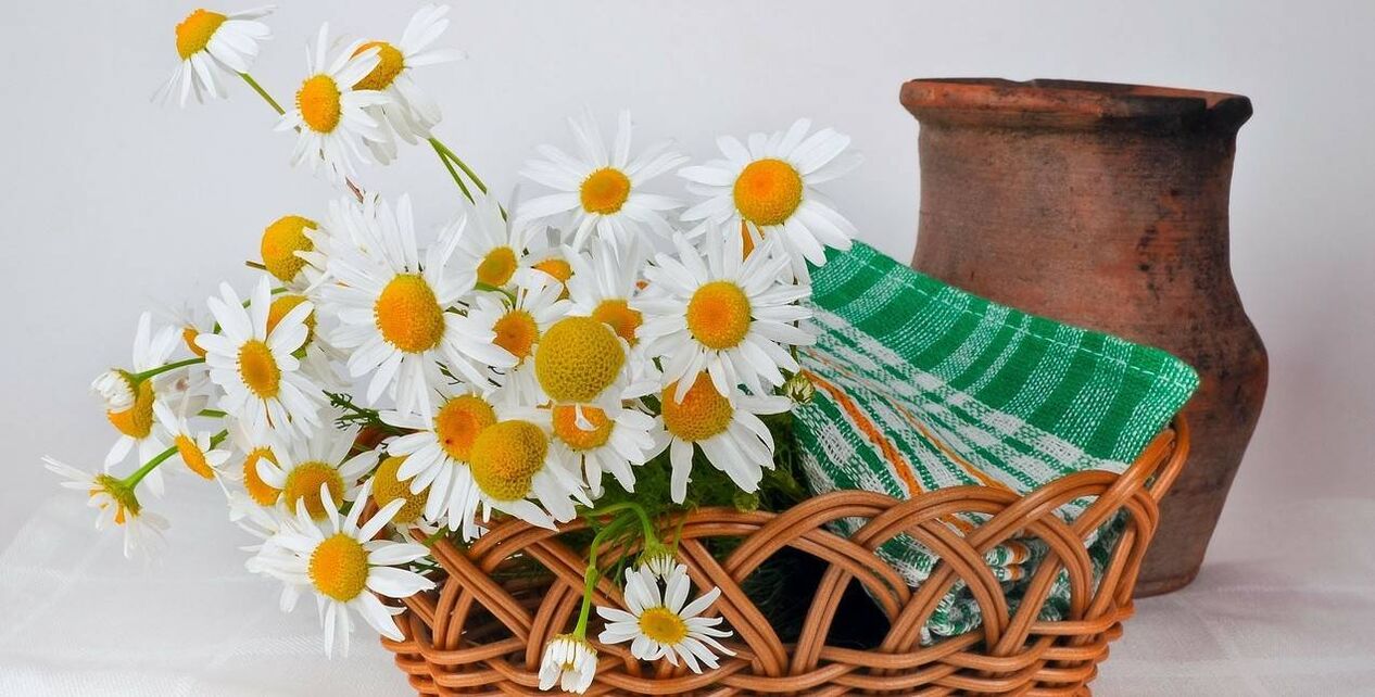 Cara membuat toner muka dari bunga chamomile